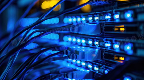 服務(wù)攝影圖片免費(fèi)下載 | 精品服務(wù)攝影圖素材大全